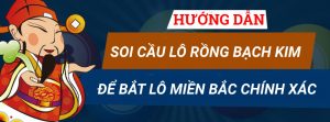 Hướng dẫn soi cầu l&ocirc; Rồng Bạch Kim để bắt l&ocirc; miền Bắc