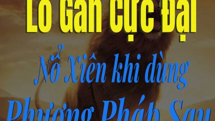 lô-gan-cực-đại