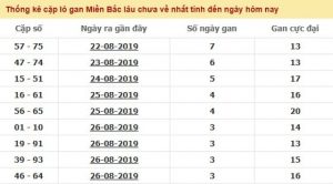 L&ocirc; gan mang những ưu - nhược điểm