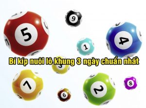 Phương ph&aacute;p nu&ocirc;i d&agrave;n đặc biệt khung 3 ng&agrave;y chuẩn