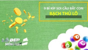 Bạch thủ l&ocirc; Miền Bắc l&agrave; g&igrave;? C&aacute;ch soi cầu bắt con l&ocirc; bạch thủ duy nhất