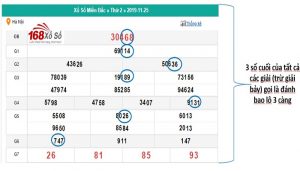 L&ocirc; 3 c&agrave;ng