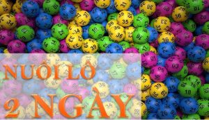 l&ocirc; nu&ocirc;i khung 2 ng&agrave;y